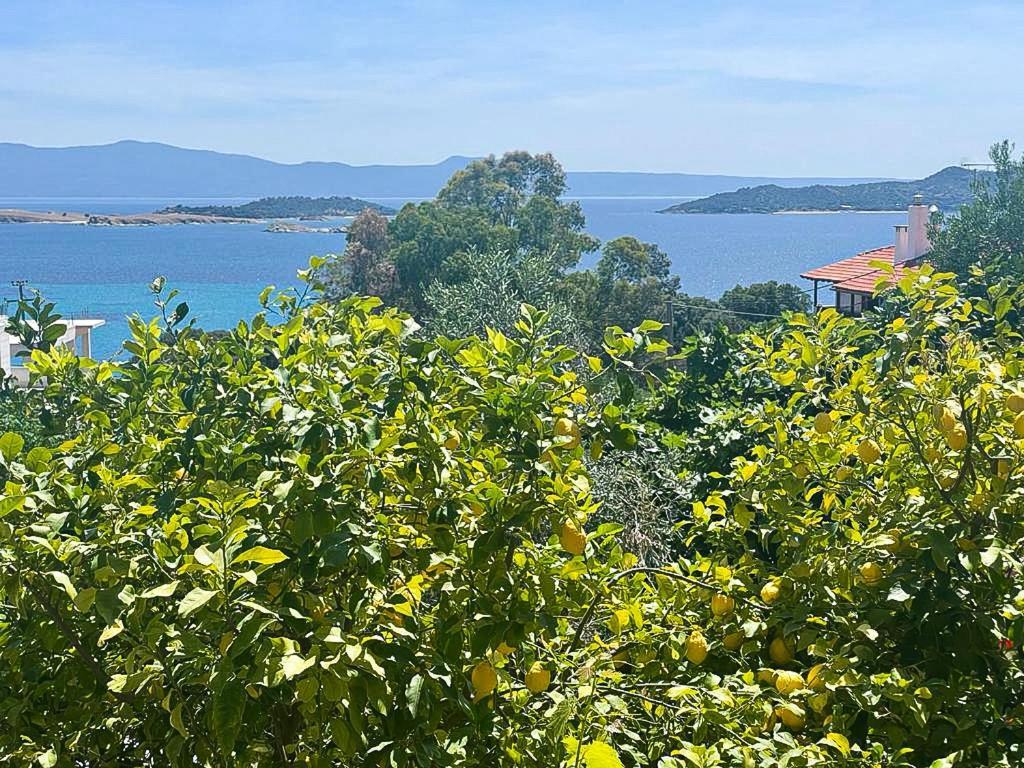 Viva Properties Ουρανούπολη Εξωτερικό φωτογραφία